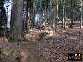 Bergbauspuren am Wunderliche Köpfe Morgengang bei Schlettau, Revier Annaberg, Erzgebirge, Sachsen, (D) (3) 02.03.2014.JPG